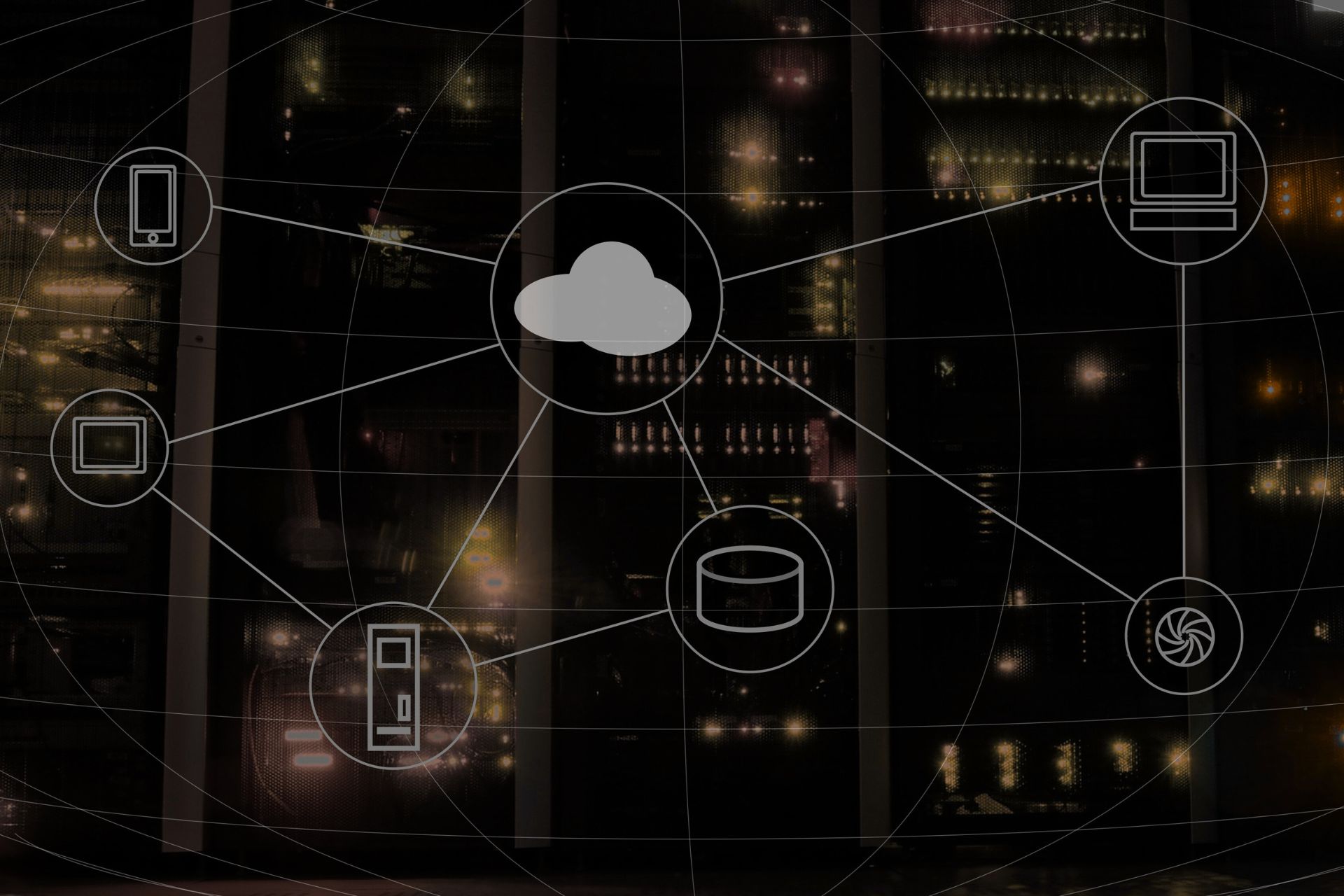 Network Audits and IT Assessments